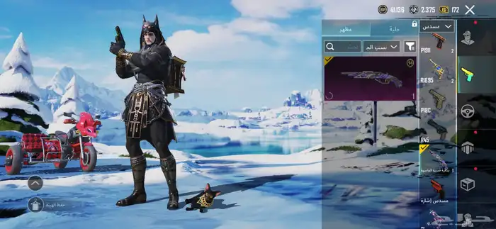 حساب ببجي للبيع لفل 63 56