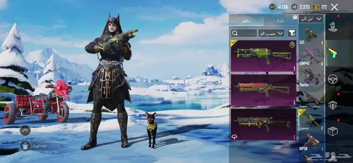 حساب ببجي للبيع لفل 63 40