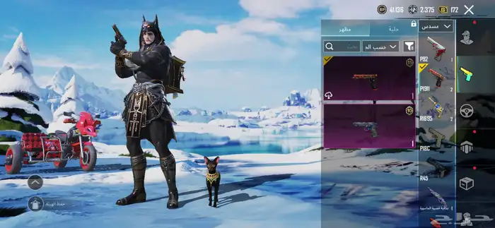 حساب ببجي للبيع لفل 63 54