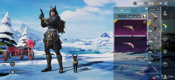 حساب ببجي للبيع لفل 63 55