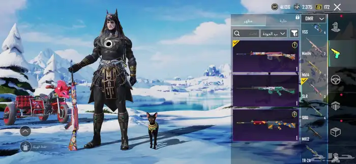 حساب ببجي للبيع لفل 63 35