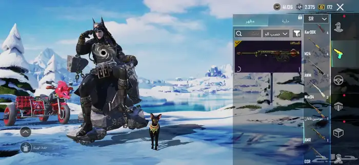 حساب ببجي للبيع لفل 63 29