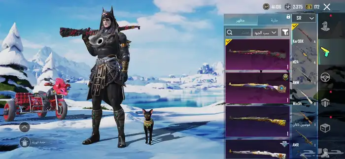 حساب ببجي للبيع لفل 63 24