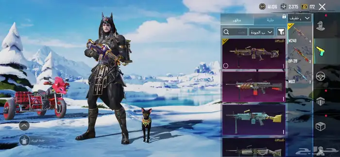 حساب ببجي للبيع لفل 63 49