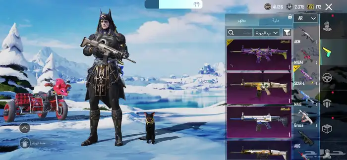 حساب ببجي للبيع لفل 63 15