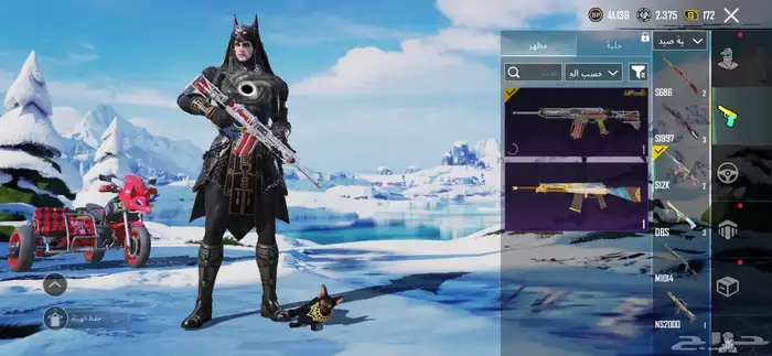 حساب ببجي للبيع لفل 63 46