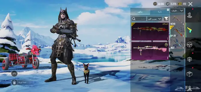 حساب ببجي للبيع لفل 63 51