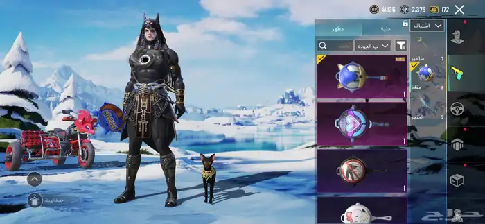 حساب ببجي للبيع لفل 63 62