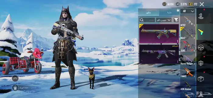 حساب ببجي للبيع لفل 63 20