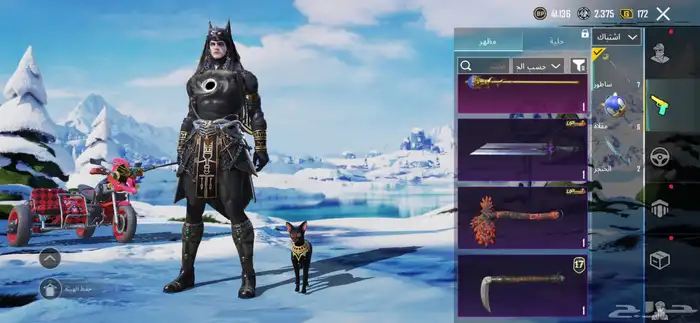 حساب ببجي للبيع لفل 63 61