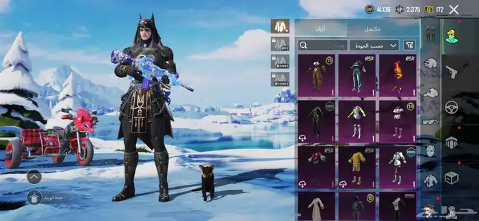 حساب ببجي للبيع لفل 63 6