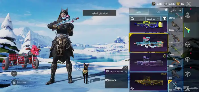 حساب ببجي للبيع لفل 63 43