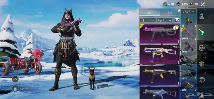 حساب ببجي للبيع لفل 63 38