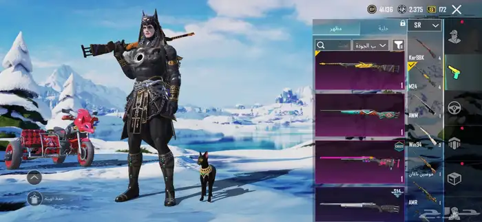 حساب ببجي للبيع لفل 63 25