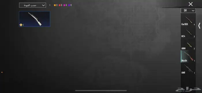 حساب ببجي امفور ثلجي 29