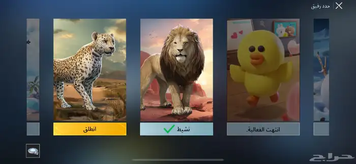 حساب ببجي للبيع 15