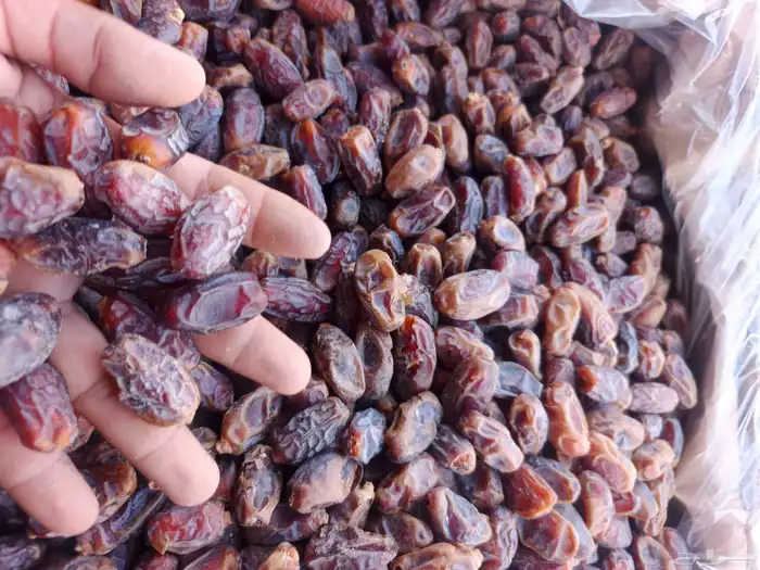 يوحد سلج نسبت المبروم طيبه فيه 3