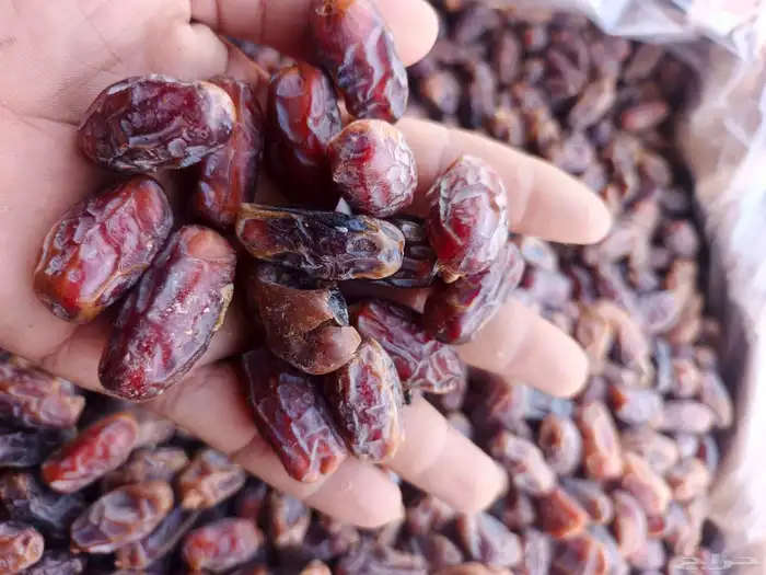 يوحد سلج نسبت المبروم طيبه فيه 2