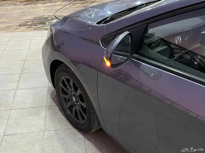 شيري أريزو 5 2025 3