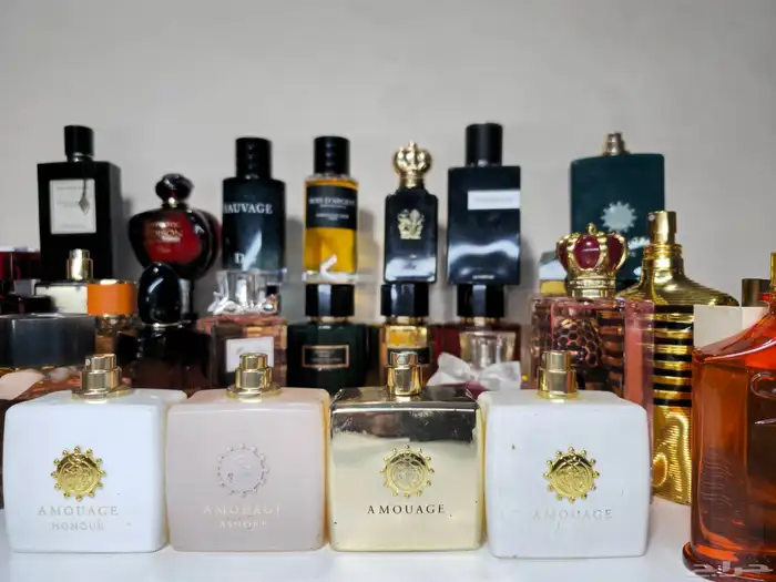 عطور تستر 17