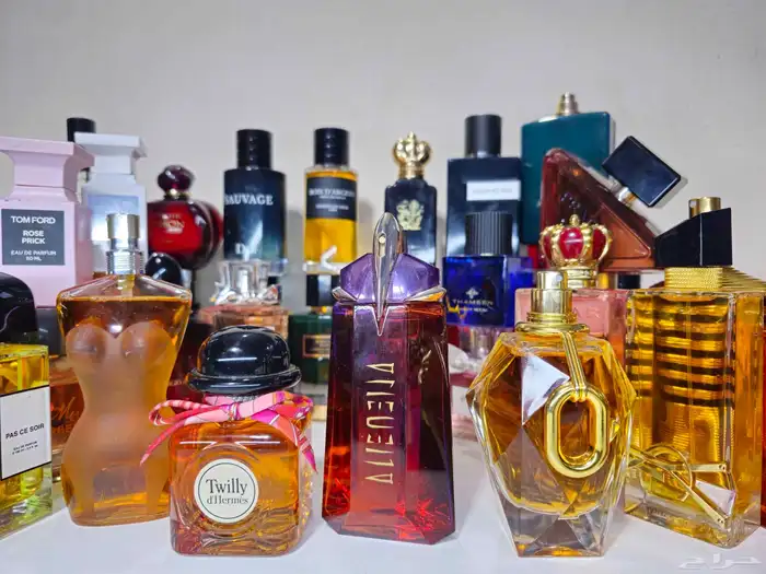 عطور تستر 42