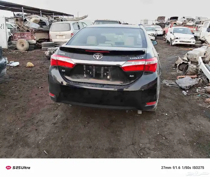 كرال مديل 2015 4