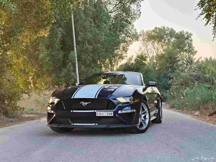 موستنج 2020 V8 كشف 15