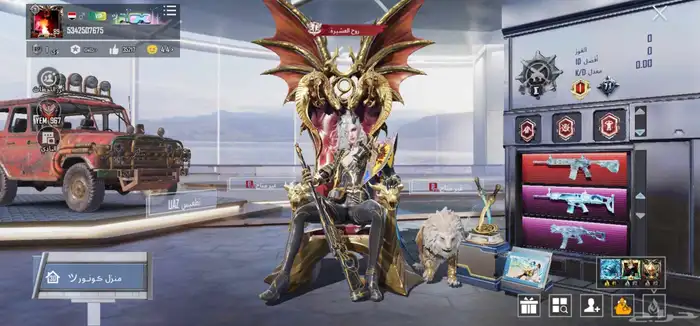 حساب ببجي للبيع 0