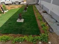 تيل طبيعي مشتل زراع طبيعي 4