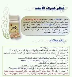 فطر عرف الأسد 2