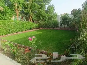 ثيل طبيعي نجيل 7