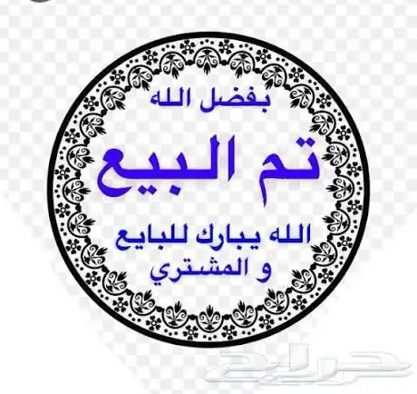 شبك خليجي جديد كرسيدا لم يستخدم 2