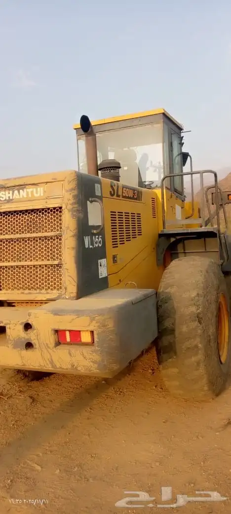 شيول شانتوي صيني 6