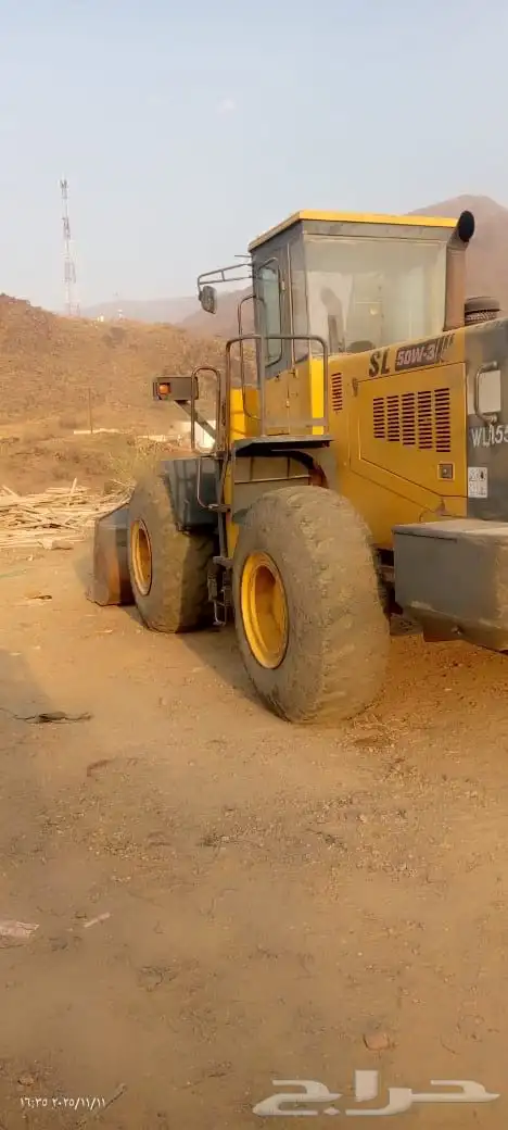 شيول شانتوي صيني 8