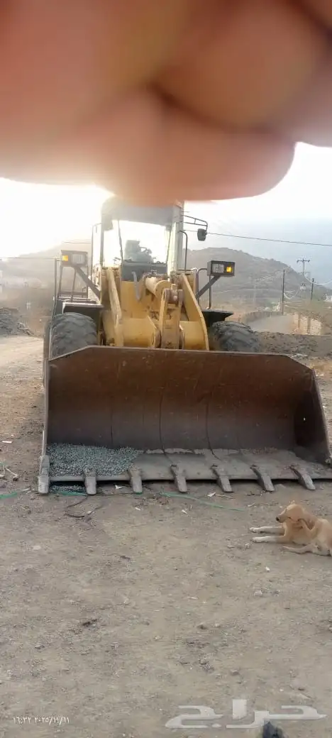 شيول شانتوي صيني 4