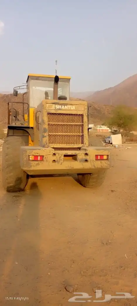 شيول شانتوي صيني 9