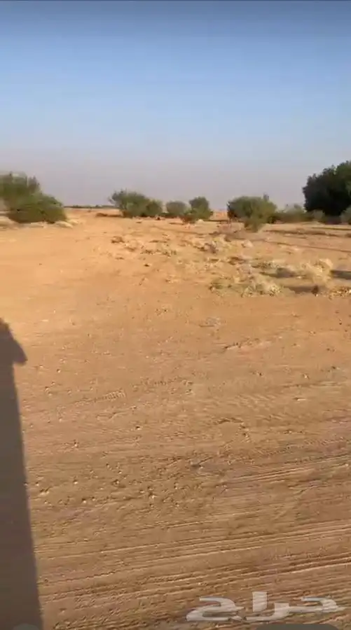 ارض زراعيه للبيع مخطط البداح 3