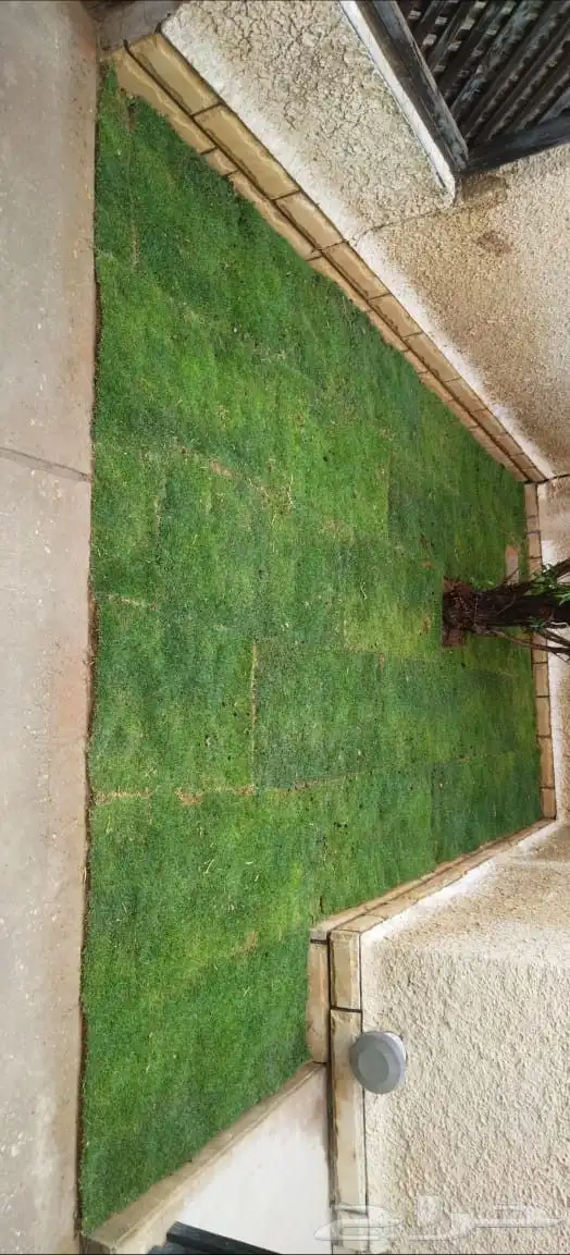 تنسيق حدائق 6