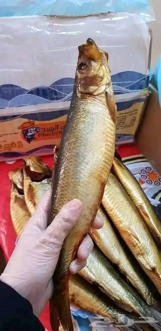 فسيخ نبروه وصل من مصر ورنجه درجة اولي 1