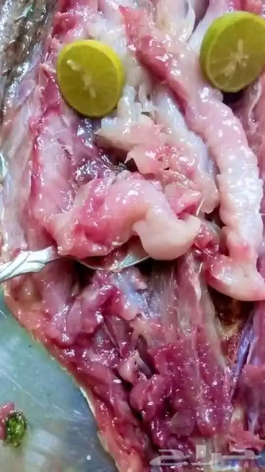 فسيخ نبروه وصل من مصر ورنجه درجة اولي 3