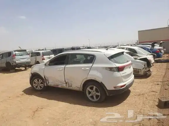 إعلان افتتاح   منصة تشاليح تبوك الرقمية 7