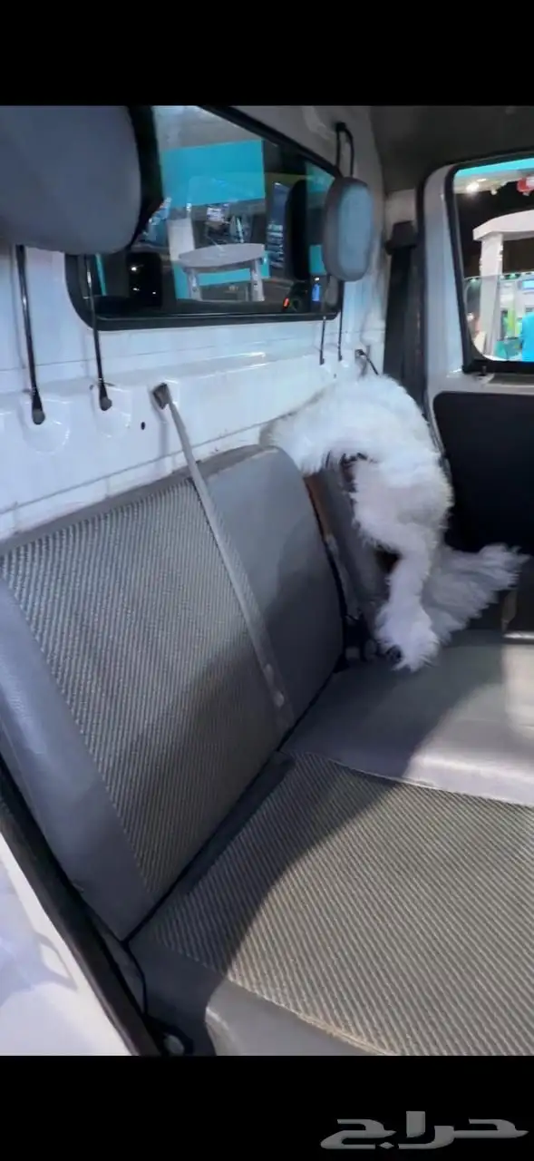 دباب للبيع 3