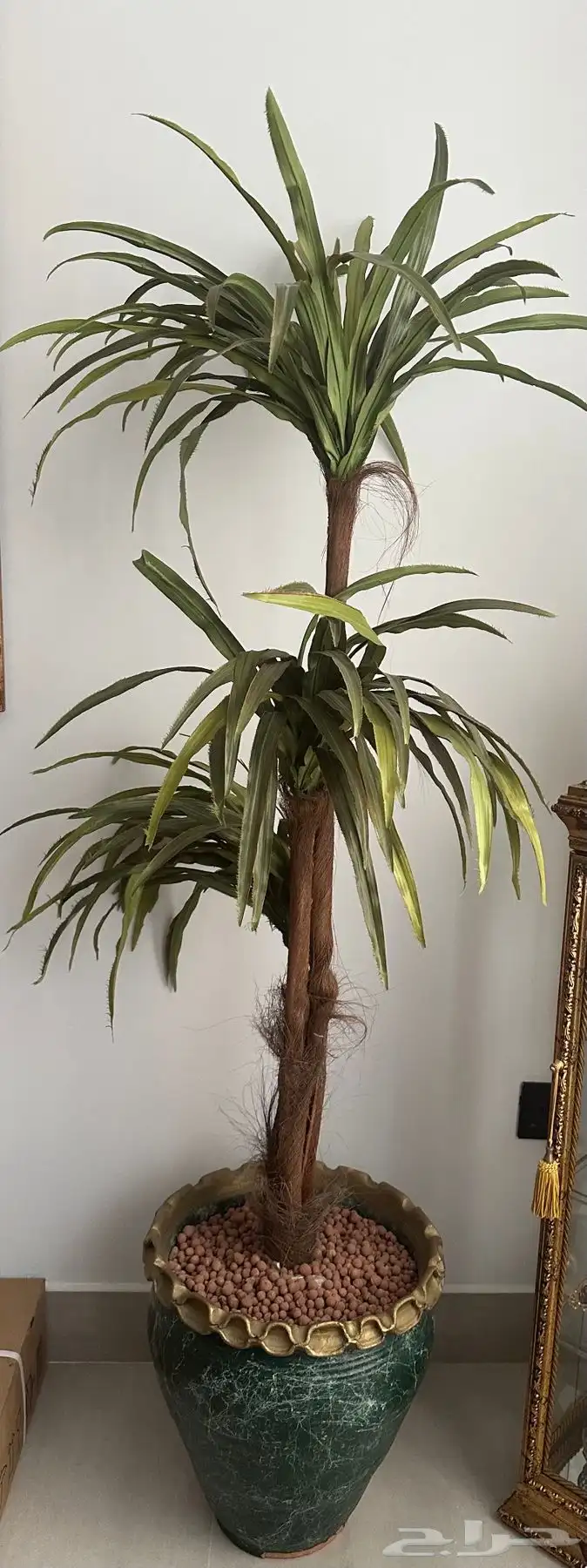 السليمانية 0