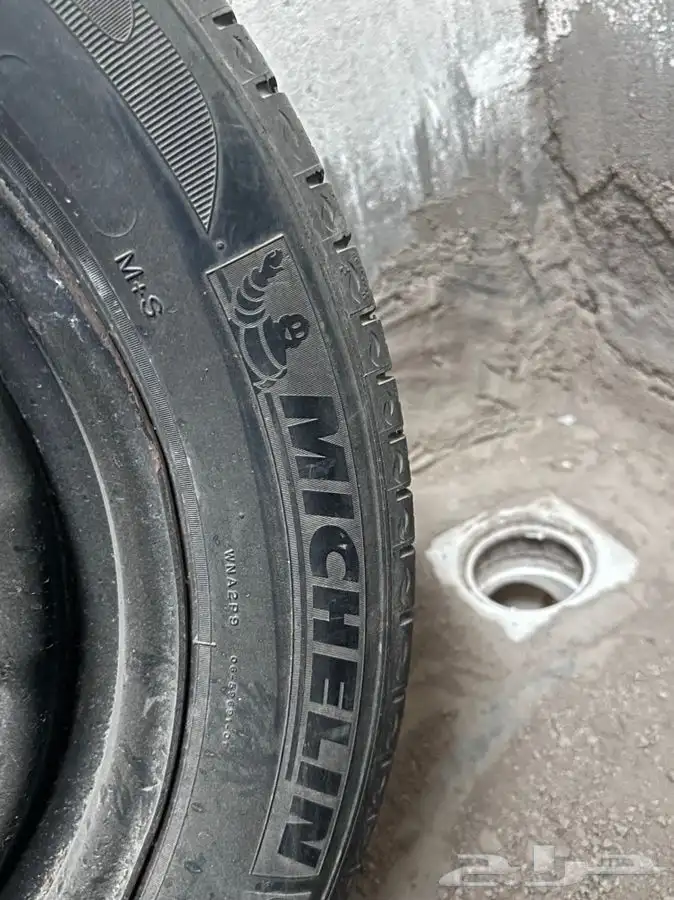 جنوط دوج بوليسي   تورس 2