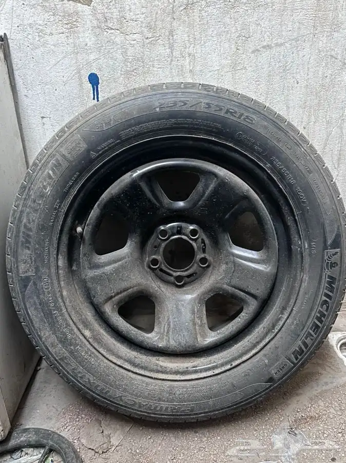 جنوط دوج بوليسي   تورس 0