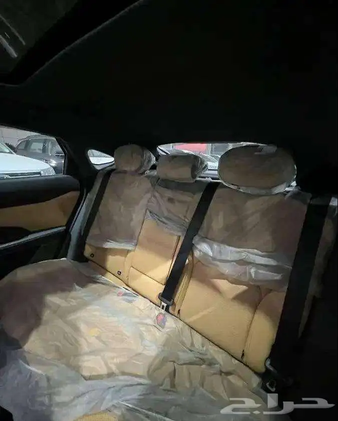 شانجان يونى فى ايليت 2026 اصفار المجدوعي 16