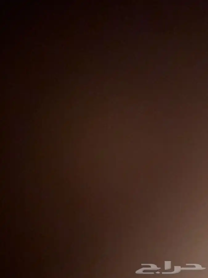 أمانة برست 2