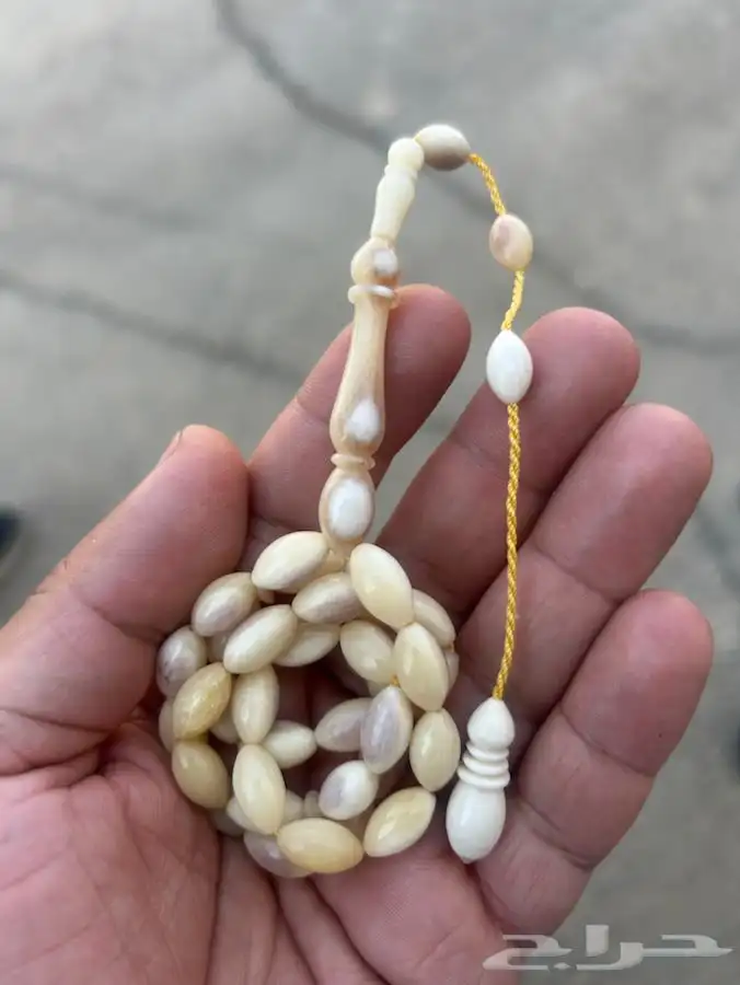 مسباح عظم نعام 0