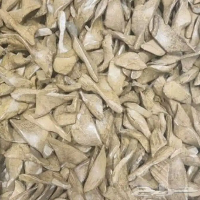 جميع انواع العود ولبخور ولعطور 7