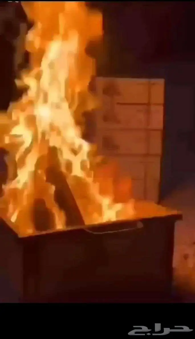 حطب تدفياه فيتنامي 3